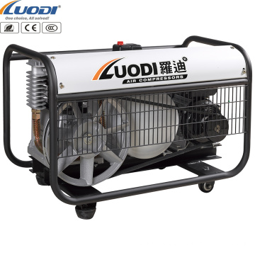 LUODI Deairing oil-free Air compressor 8Bar 10L Big amount supply, any country